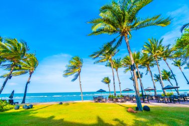 Şemsiye ve tropikal plaj sandalye