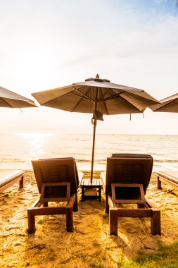 Hindistan cevizi palmiye ağaçlarının plaj ve deniz