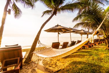 Hindistan cevizi palmiye ağaçlarının plaj ve deniz