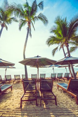 Hindistan cevizi palmiye ağaçlarının plaj ve deniz