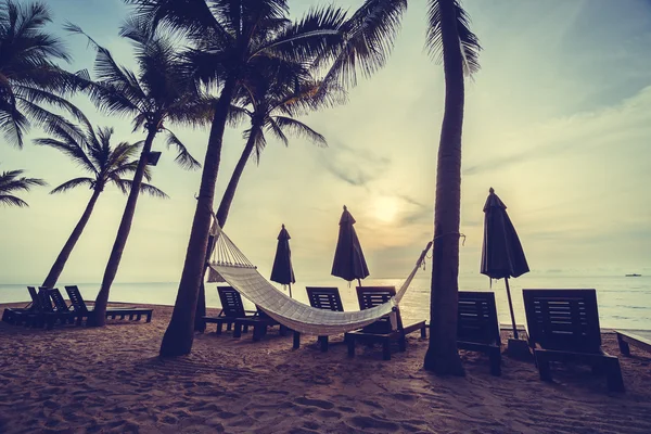 Üres hammock Beach — Stock Fotó