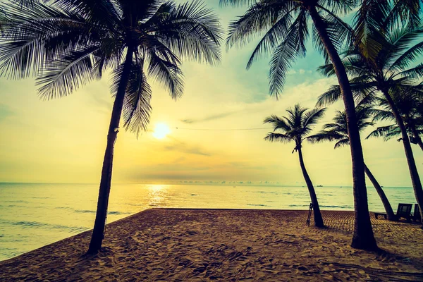 Cocos palmbomen op strand en zee — Stockfoto