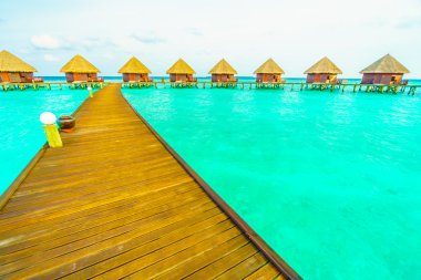 Sahili olan güzel tropik Maldivler adası