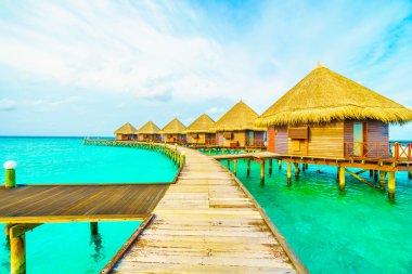Sahili olan güzel tropik Maldivler adası