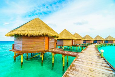 Sahili olan güzel tropik Maldivler adası