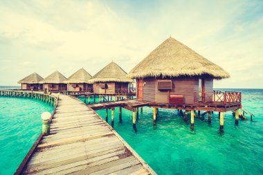 Plaj ve deniz ile güzel Maldivler ada