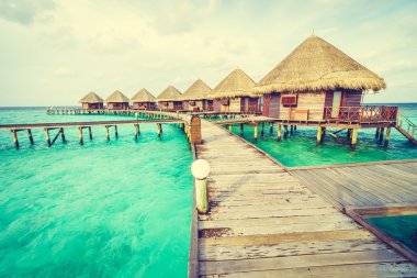 Plaj ve deniz ile güzel Maldivler ada