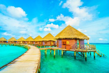 Sahili olan güzel tropik Maldivler adası