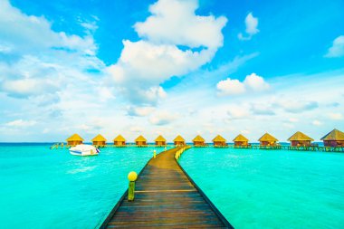 Sahili olan güzel tropik Maldivler adası