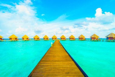 Sahili olan güzel tropik Maldivler adası