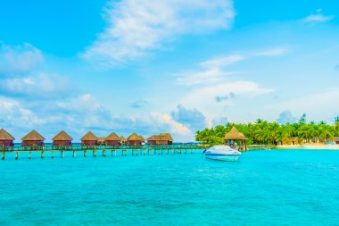 Güzel tropikal maldivler tatil beldesi