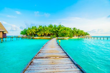 Güzel tropikal maldivler tatil beldesi