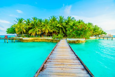 Güzel tropikal maldivler tatil beldesi