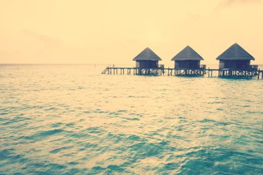 Maldivler Adası üzerinde güzel tropikal gün batımı