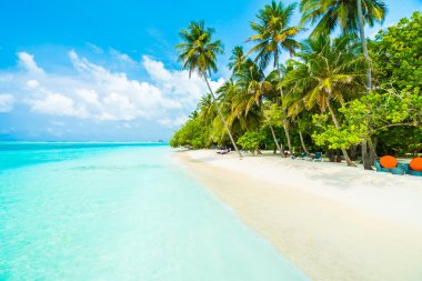 Güzel tropikal Maldivler ada