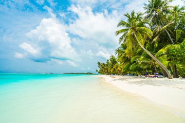 Güzel tropikal Maldivler ada