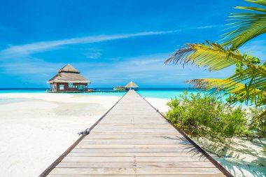 Güzel tropikal maldivler tatil beldesi