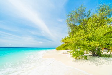 Güzel tropikal maldivler tatil beldesi