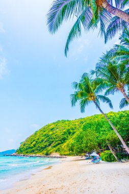 Güzel tropikal plaj ve deniz
