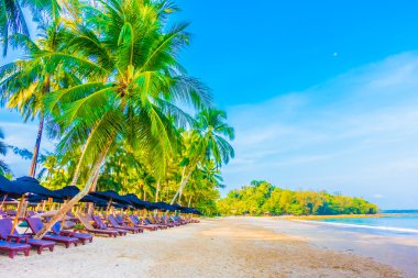 Şemsiye ve tropikal plaj sandalye