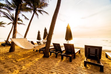 Hindistan cevizi palmiye ağaçlarının plaj ve deniz