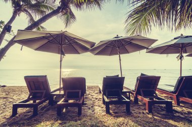 Hindistan cevizi palmiye ağaçlarının plaj ve deniz