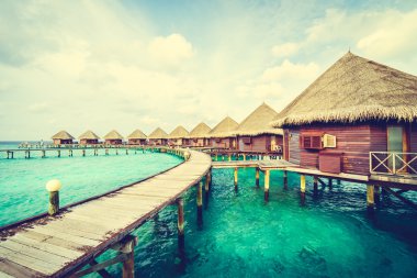 Plaj ve deniz ile güzel Maldivler ada