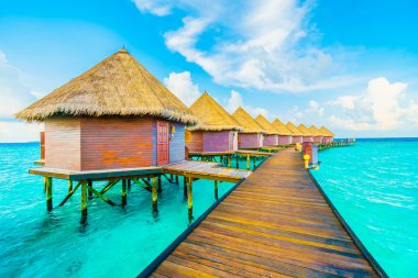 Güzel tropikal maldivler tatil beldesi