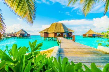 Güzel tropikal maldivler tatil beldesi