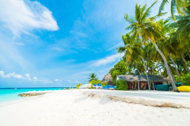 Güzel tropikal maldivler tatil beldesi