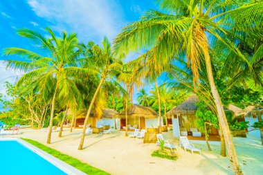 Güzel tropikal maldivler tatil beldesi