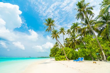 Güzel tropikal Maldivler ada