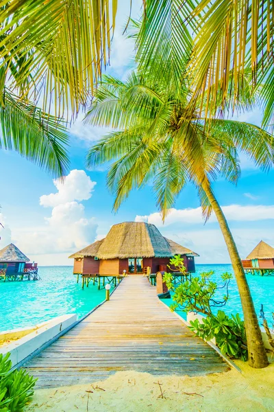 Beautiful tropical Maldives resort hotel — Stock Photo, Image