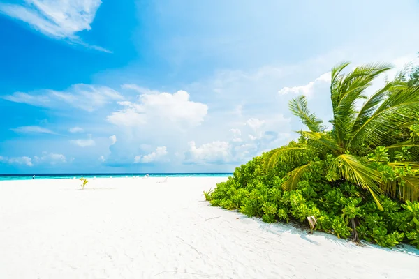 Hermoso hotel resort maldivas tropicales —  Fotos de Stock