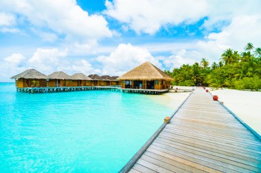 Tropikal plaj ve deniz Maldivler Island