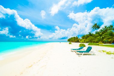 Tropikal plaj ve deniz Maldivler Island