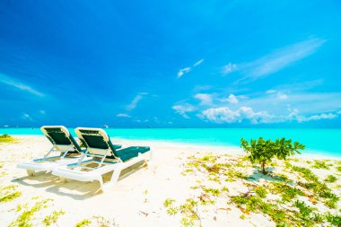 Tropikal plaj ve deniz Maldivler Island