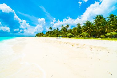 Tropikal plaj ve deniz Maldivler Island