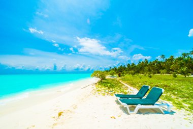 Tropikal plaj ve deniz Maldivler Island