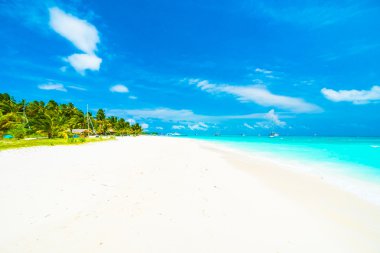 Tropikal plaj ve deniz Maldivler Island