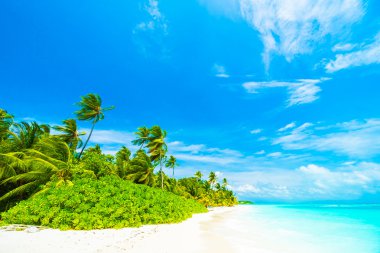 Tropikal plaj ve deniz Maldivler Island