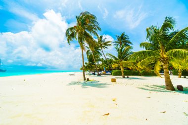 Tropikal plaj ve deniz Maldivler Island