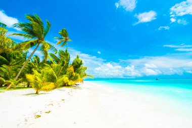 Tropikal plaj ve deniz Maldivler Island