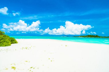 Tropikal plaj ve deniz Maldivler Island