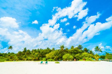 Tropikal plaj ve deniz Maldivler Island