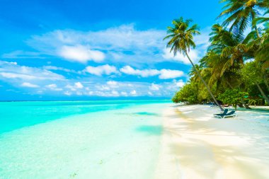 Tropikal plaj ve deniz Maldivler Island