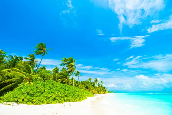 Playa tropical y mar en la isla de las Maldivas —  Fotos de Stock