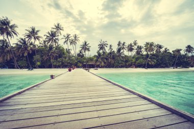 Tropikal plaj ve deniz Maldivler Island