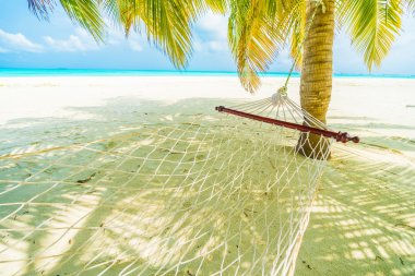 Tropikal plaj ve deniz Maldivler Island