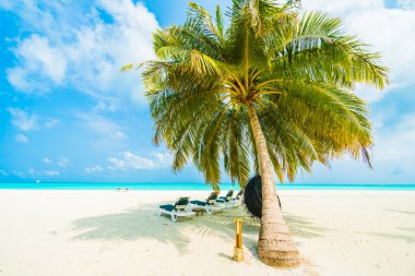 Tropikal plaj ve deniz Maldivler Island